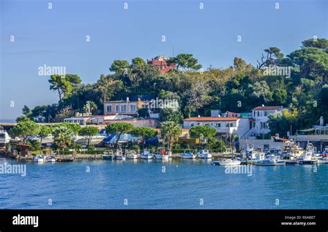 Fishing Boats Harbour Ischia Postage Island Ischia Italy