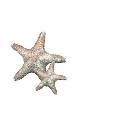 Animated Starfish Gif