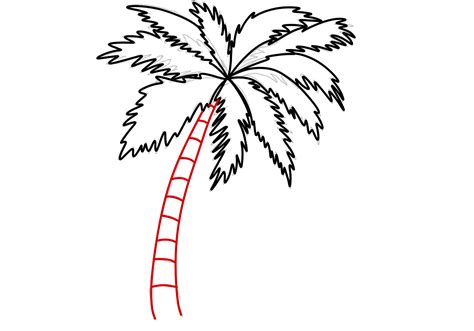 How To Draw A Palm Tree Design School