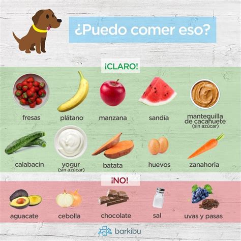 Alimentos Que Pueden Comer Los Perros Alimento Perros Alimentos