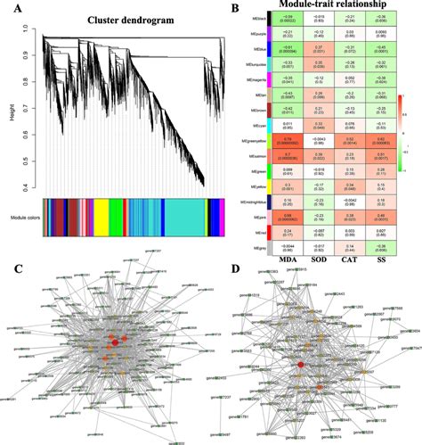 Weighted Gene Coexpression Network Analysis WGCNA Associated With