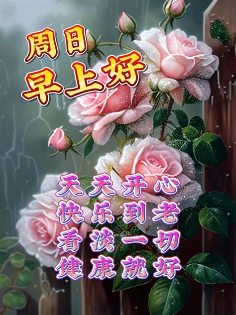 3月12日周日早上好，唯美温馨周末早安祝福语图片问候短句 哔哩哔哩