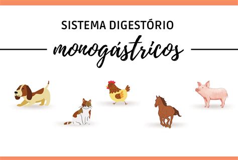 SISTEMA DIGESTÓRIO MONOGÁSTRICOS Alice de Oliveira Silva Hotmart