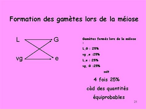 Meiose Et Recombinaison Genetique Brassages Inter Et Intra