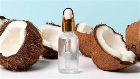 Fragancias Perfumes Con Olor A Coco Para Llamar La Atenci N En Los