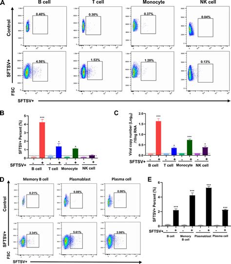 High Susceptibility Of B Cells To In Vitro SFTSV Infection Whole Blood