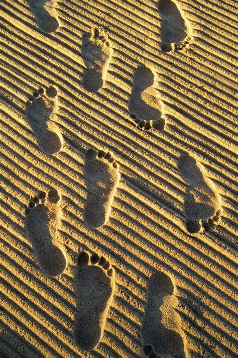 Footprints In The Sand 27095517 Stock Photo At Vecteezy