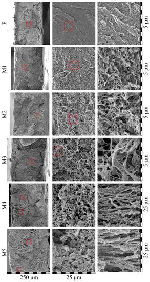 Membranes Free Full Text Controlled Swelling Of Monolithic Films As