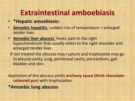 Ppt Amoebiasis Powerpoint Presentation Free Download Id9193597