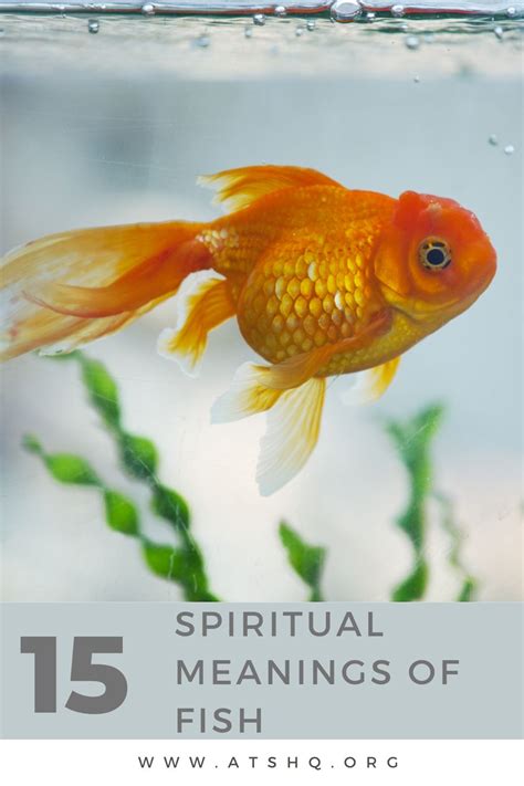 Fish Symbolism 15 Spiritual Meanings Of Fish