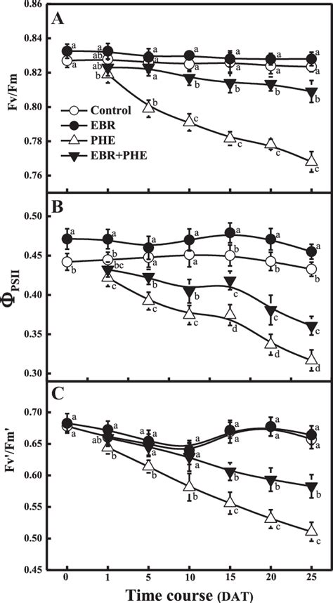 Time Course Effect Of EBR And PHE Foliar Application On Photosynthetic