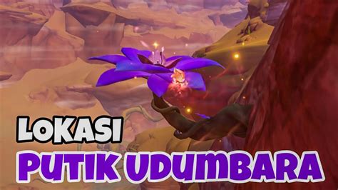 Genshin Impact Lokasi Putik Udumbara Quest Dunia Api Yang Remang