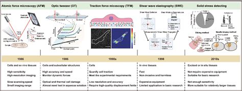 Figure From Boosting Antitumor Efficacy Of Nanoparticles By