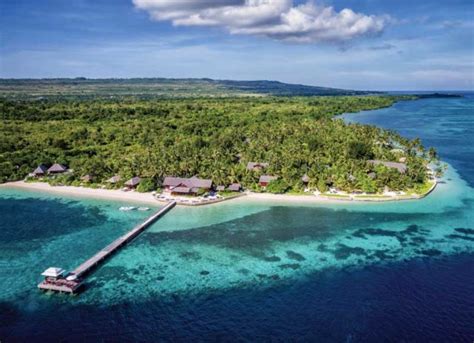 Wakatobi Coral Reefs Receive Excellent Health Report - DIVER magazine