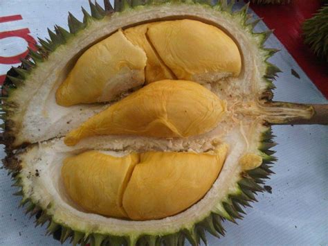 Durian Lezat Ini Khas Indonesia