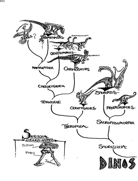 The Dinosaur Family Tree | The Paleontological Society Special ...