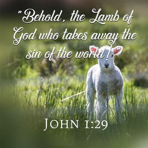 Behold The Lamb Of God Who Takes Away The Sin Of The World John 1