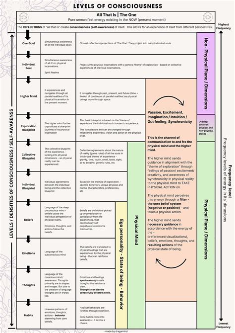 map of consciousness levels 4