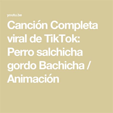 Canci N Completa Viral De Tiktok Perro Salchicha Gordo Bachicha