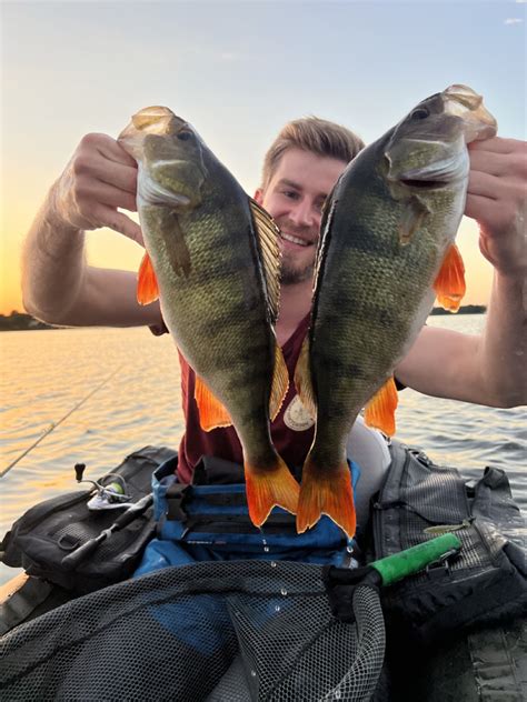 Topwater Angeln auf Barsch Red Perch gezielt an der Oberfläche