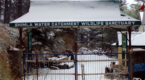 Shimla Water Catchment Wildlife Sanctuary One Of The Most Famous