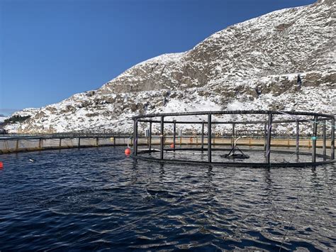 Norwegian Salmon farming — MariHealth Solutions