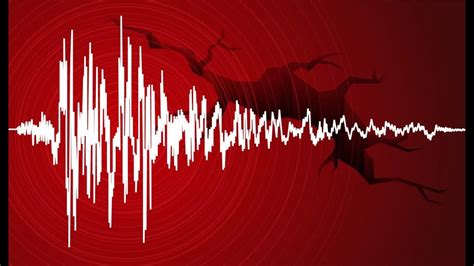 Rom Nia Zguduit De Nc Un Cutremur Seismul S A Produs N Br Ila Ce