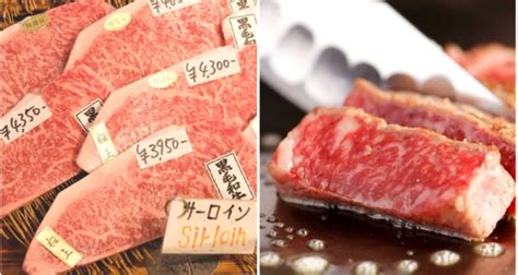 Best Wagyu Beef In Tokyo In 2021 Ninja Food Tours