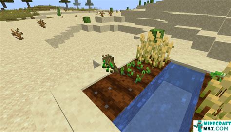 How To Make Wheat In Minecraft Minecraft