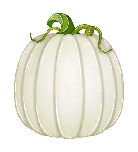 Watercolor white pumpkin clipart 11190851 PNG