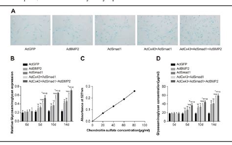 Figure From Cx And Smad Mediated Tgf Bmp Signaling Pathway