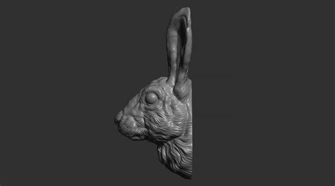 ArtStation - Hare head | Resources