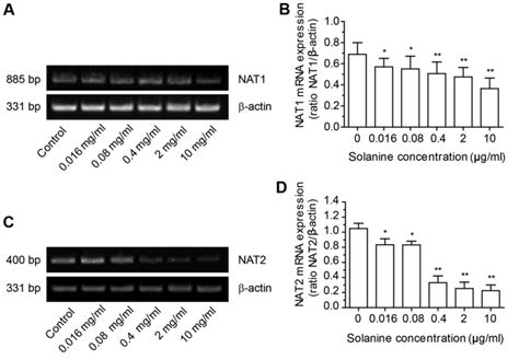 The Effect Of Solanine On The Activity Gene Expression And Kinetics