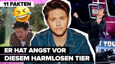 Plötzlich auch TV Star 11 Fakten über Niall Horan du sicher