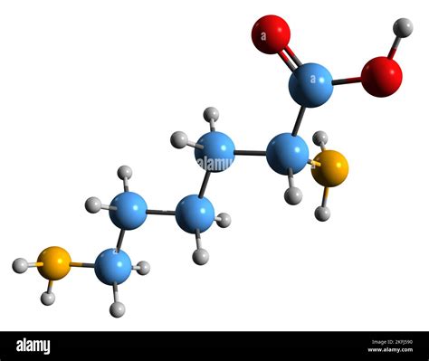 Clorhidrato De Lisina Fotograf As E Im Genes De Alta Resoluci N Alamy