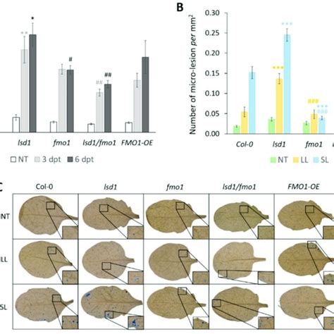 Proposed Model Of Fmo1 Involvement In Ros Signaling Systemic Acquired