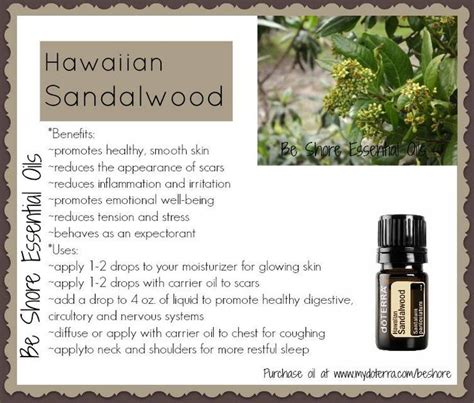 Hawaiian Sandalwood Essential Oils Herbs Doterra Oils Recipes Order