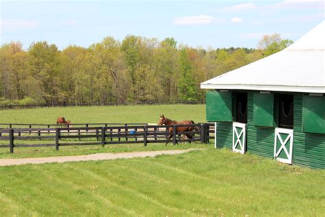 Laying Out Your Small Horse Farm - Horseman's News