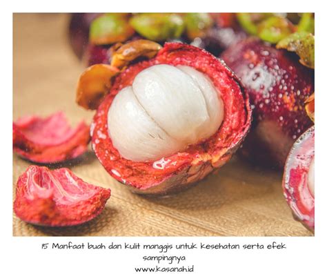 15 Manfaat Buah Dan Kulit Manggis Untuk Kesehatan Serta Efek Sampingnya