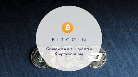 Bitcoin Faq Alles Was Du Wissen Musst Rapunzel Will Raus