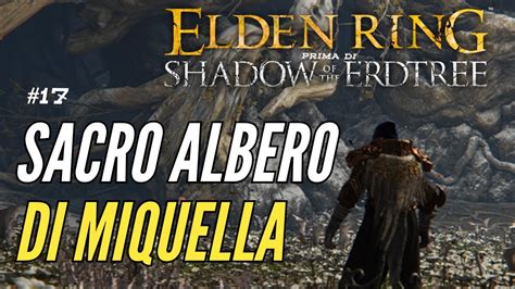 ELDEN RING 17 SACRO ALBERO DI MIQUELLA Prima Di SHADOW OF THE