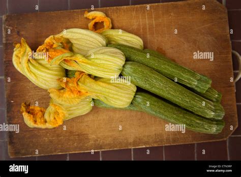 Zucchini With Their Flowers Stock Photo Alamy