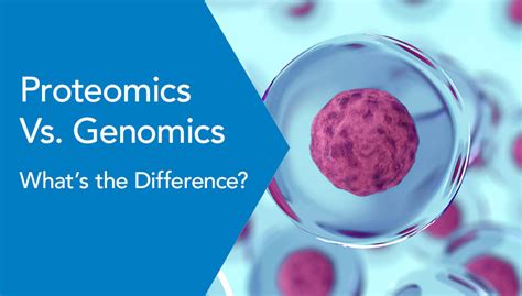 Whats The Difference Between Proteomics And Genomics