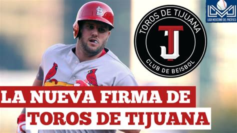 Toros De Tijuana Firman A Ex Jugador De Grandes Ligas Campeon De Serie