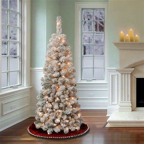 Snapklik National Tree Company First Traditions Pre Lit Acacia