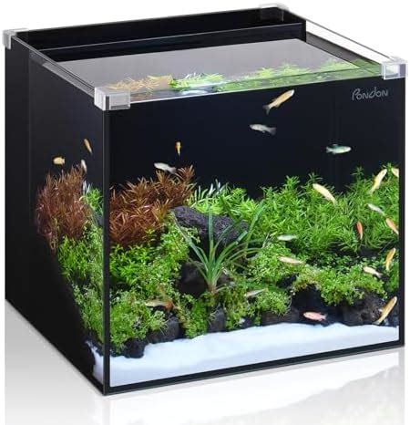 Amazon Gallon Aquarium Low Iron Glass Fish Tank Starter Kits