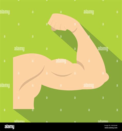 Biceps Muscle Hi Res Stock Photography And Images Alamy