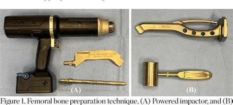 Figure 1 From Biomechanical Comparison Of Impaction Techniques And