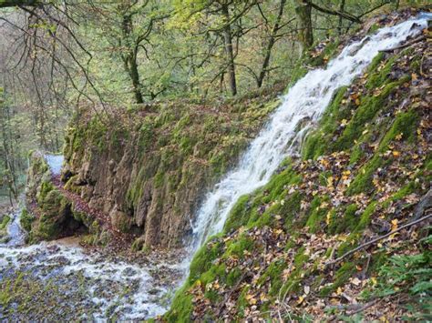 Free Images Tree Waterfall Creek Wilderness Trail Leaf Stream