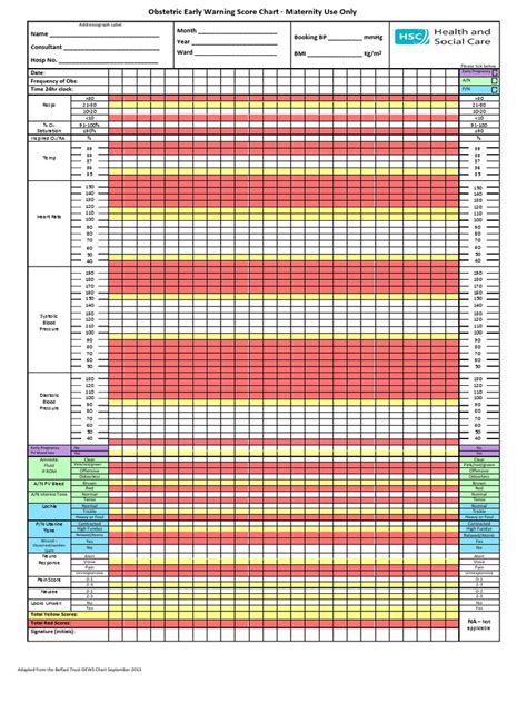 Early Warning Score Chart Hse